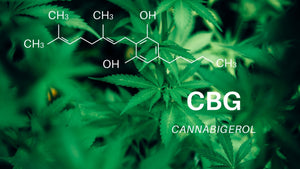 Kennst Du schon CBG? Alles über das neue Trend-Cannabinoid